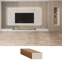 vc_8606-Friso-30x16